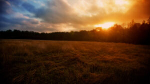 Read more about the article Overcoming Obstacles: Lessons from Biblical Heroes