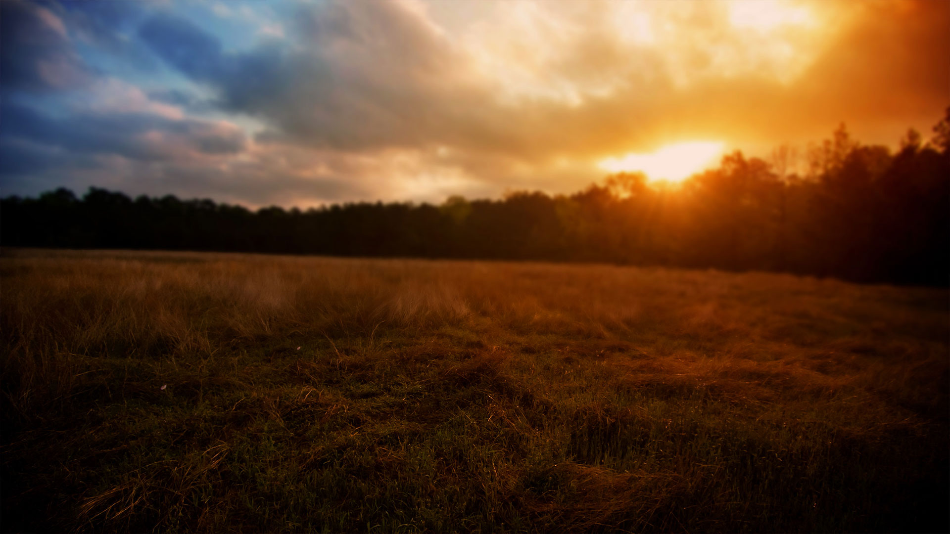 Read more about the article Overcoming Obstacles: Lessons from Biblical Heroes