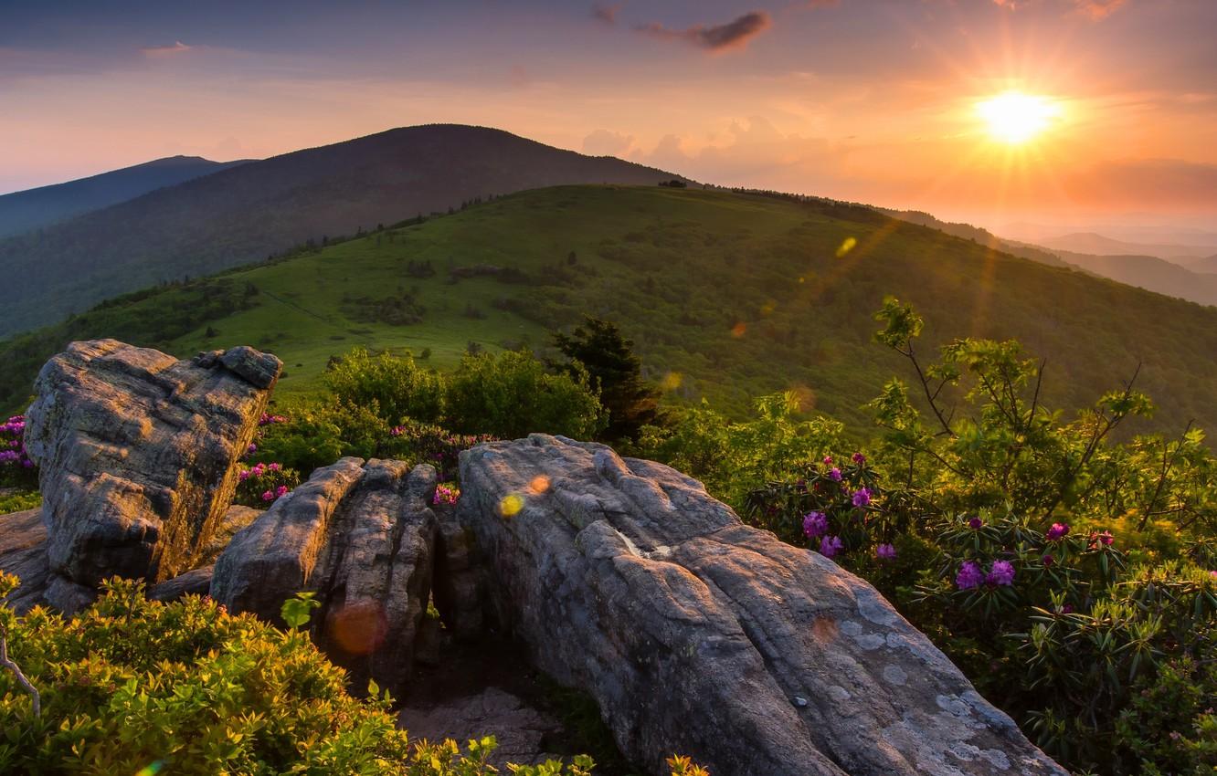 Read more about the article Embracing Grace: The Power of Forgiveness in Christian Life