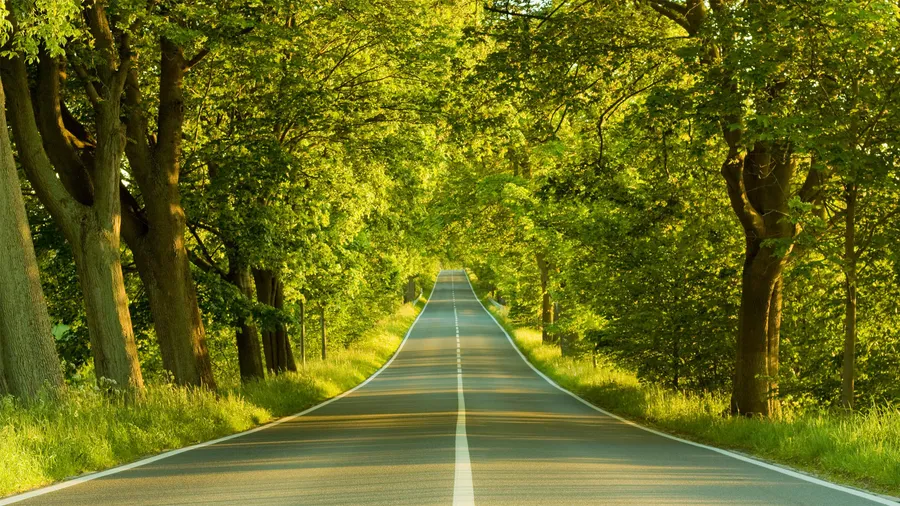 Neemas-Gratitude The Heartbeat of a Joyful Christian Life