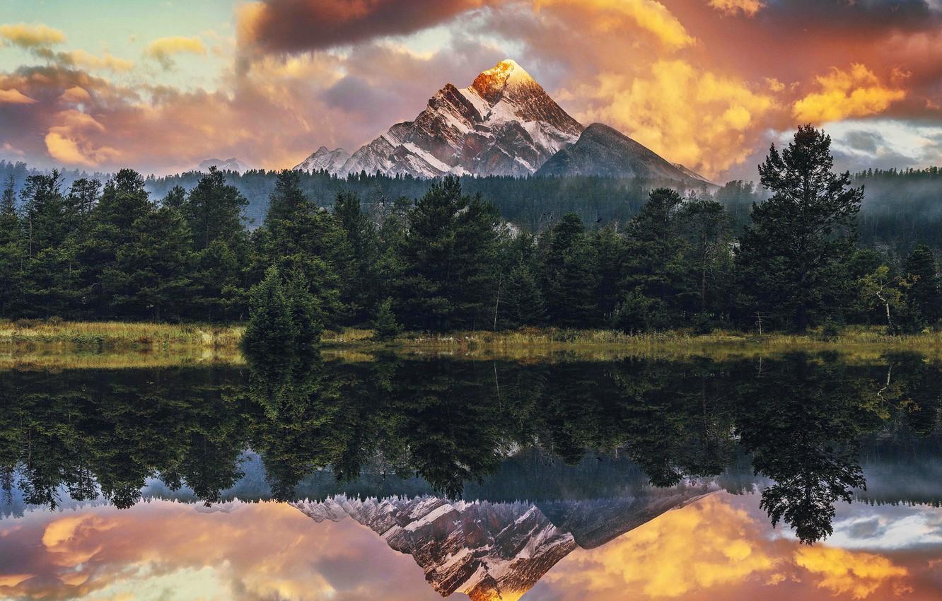 Read more about the article Walking by Faith: Trusting in God’s Plan